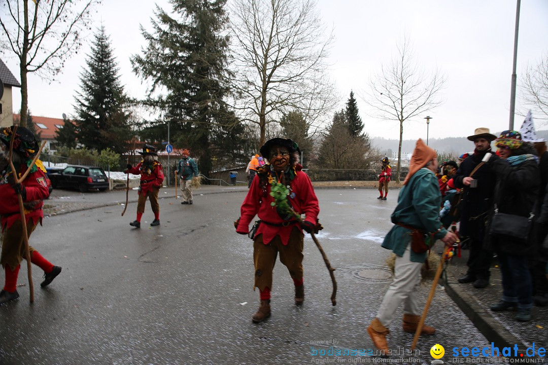 Fasnet Festumzug mit Motivwagen : Stockach am Bodensee, 01.02.2015