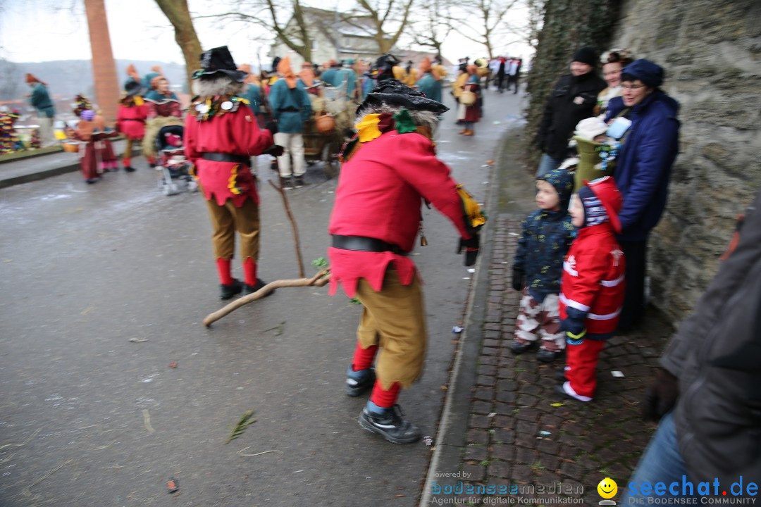 Fasnet Festumzug mit Motivwagen : Stockach am Bodensee, 01.02.2015