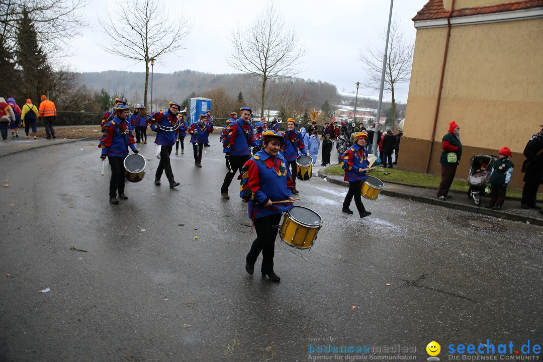 Fasnet Festumzug mit Motivwagen : Stockach am Bodensee, 01.02.2015