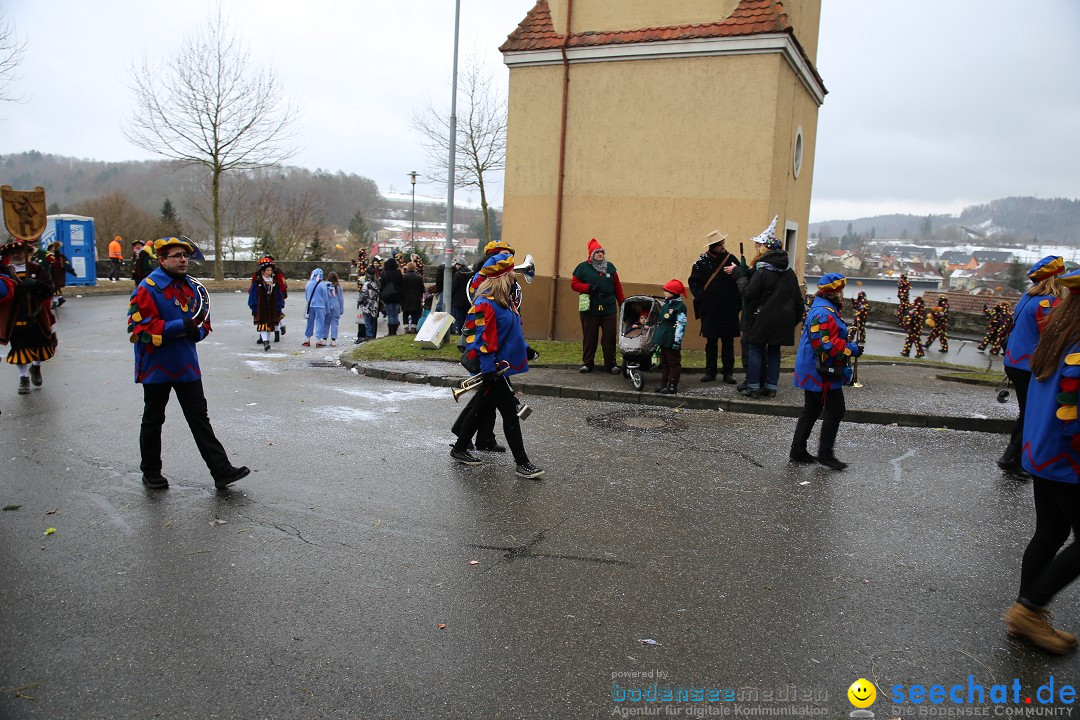 Fasnet Festumzug mit Motivwagen : Stockach am Bodensee, 01.02.2015