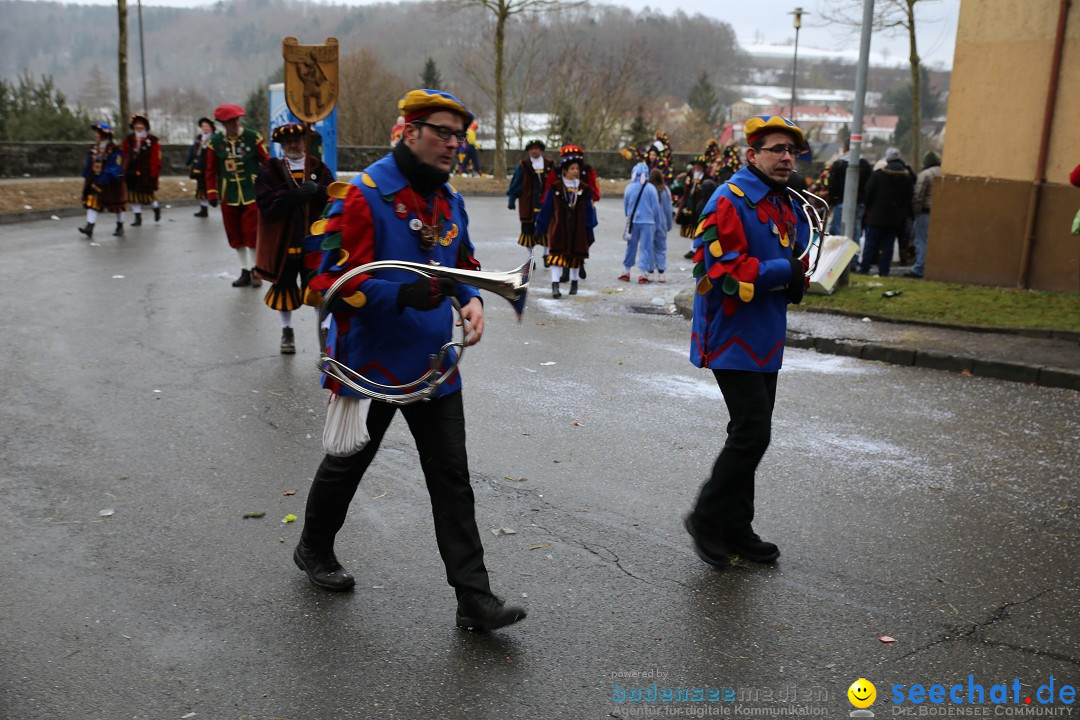 Fasnet Festumzug mit Motivwagen : Stockach am Bodensee, 01.02.2015