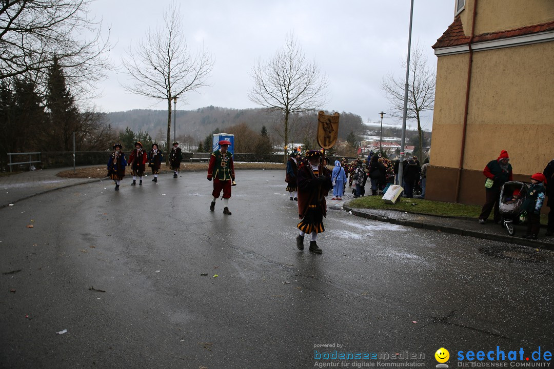 Fasnet Festumzug mit Motivwagen : Stockach am Bodensee, 01.02.2015