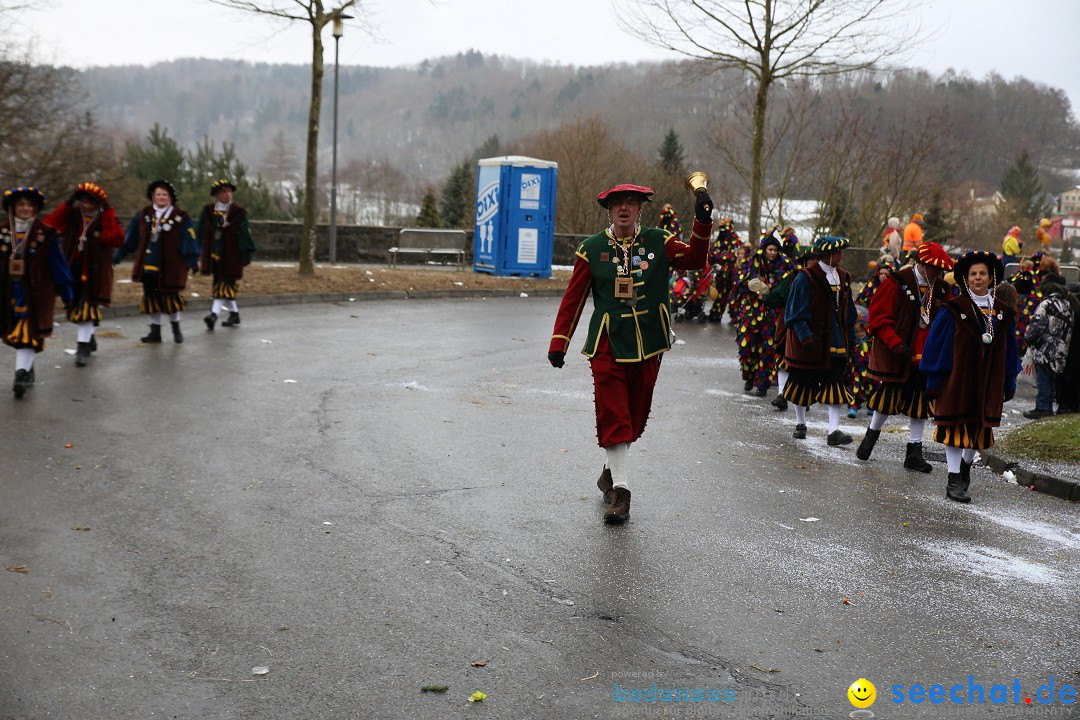 Fasnet Festumzug mit Motivwagen : Stockach am Bodensee, 01.02.2015