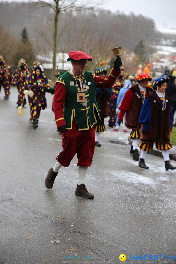 Fasnet Festumzug mit Motivwagen : Stockach am Bodensee, 01.02.2015