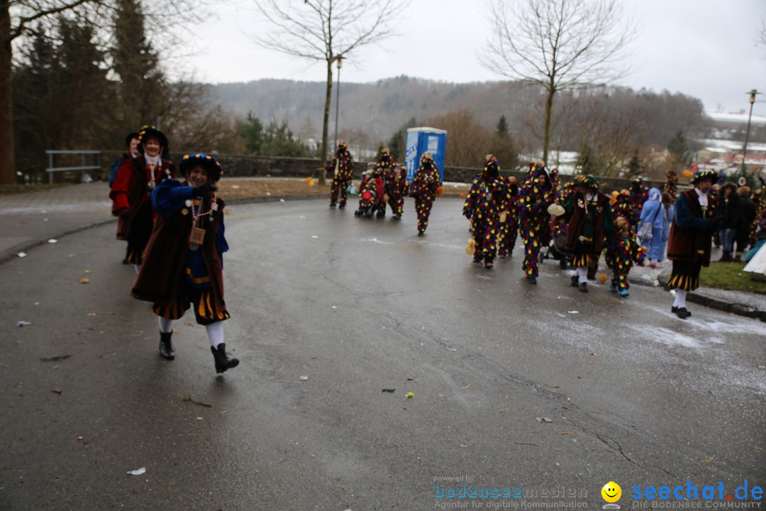 Fasnet Festumzug mit Motivwagen : Stockach am Bodensee, 01.02.2015