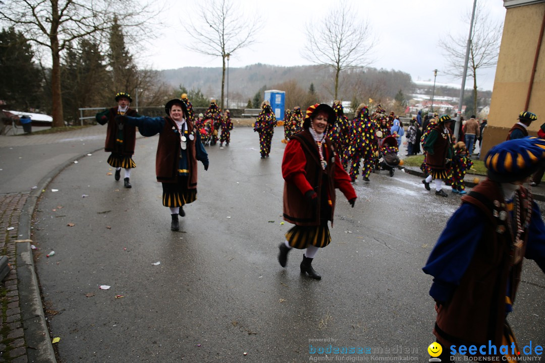 Fasnet Festumzug mit Motivwagen : Stockach am Bodensee, 01.02.2015