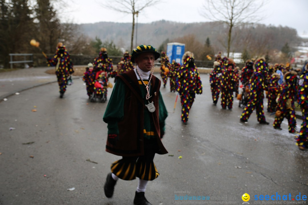 Fasnet Festumzug mit Motivwagen : Stockach am Bodensee, 01.02.2015