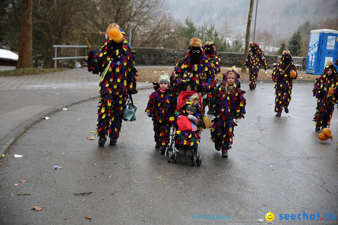 Fasnet Festumzug mit Motivwagen : Stockach am Bodensee, 01.02.2015