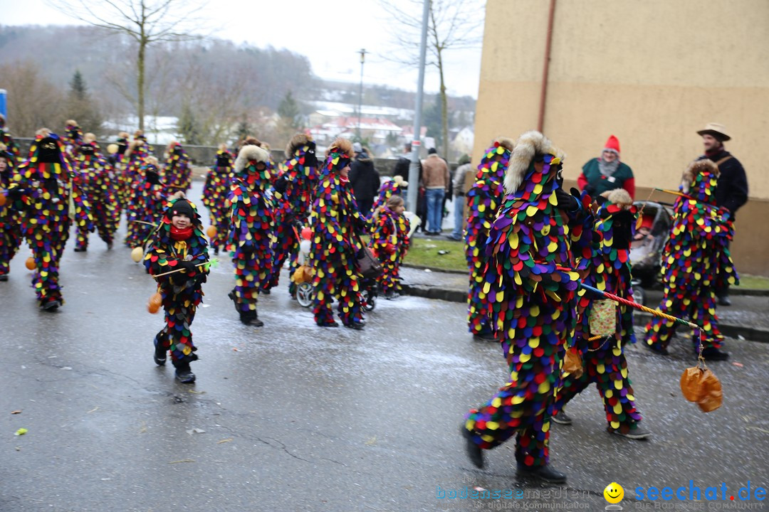 Fasnet Festumzug mit Motivwagen : Stockach am Bodensee, 01.02.2015