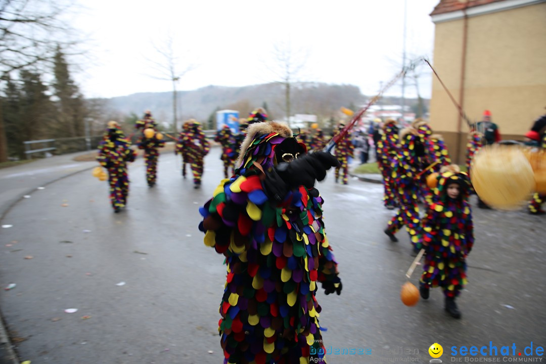 Fasnet Festumzug mit Motivwagen : Stockach am Bodensee, 01.02.2015