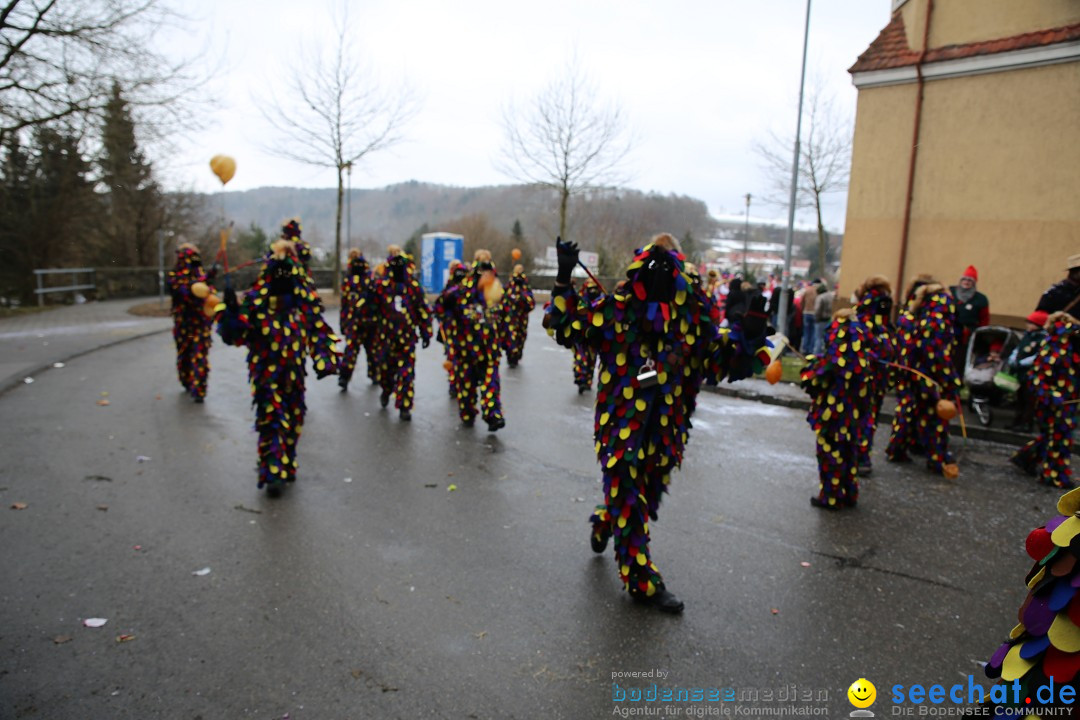 Fasnet Festumzug mit Motivwagen : Stockach am Bodensee, 01.02.2015