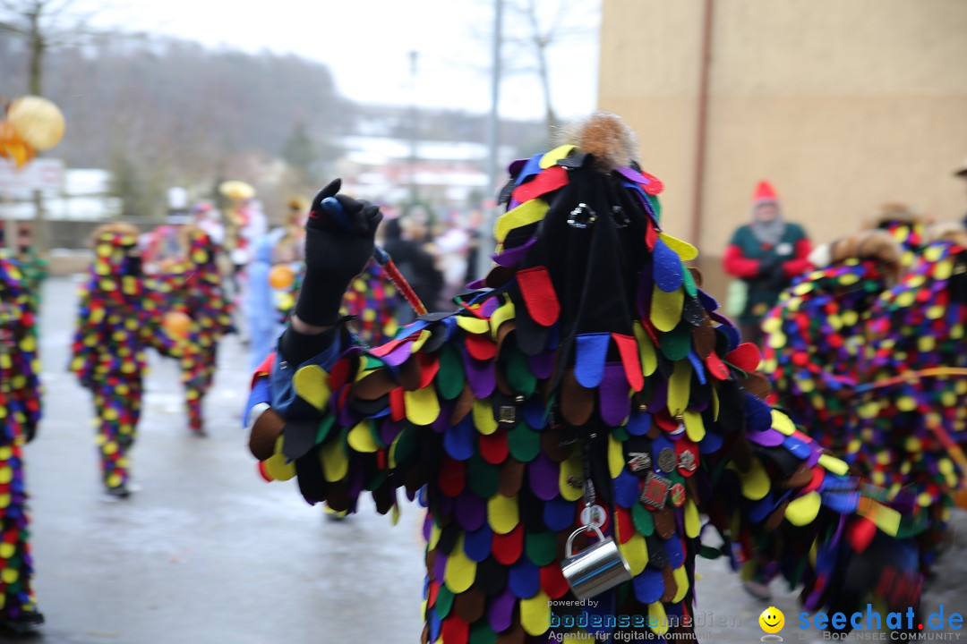 Fasnet Festumzug mit Motivwagen : Stockach am Bodensee, 01.02.2015