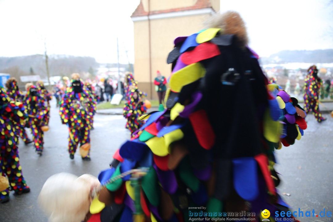 Fasnet Festumzug mit Motivwagen : Stockach am Bodensee, 01.02.2015