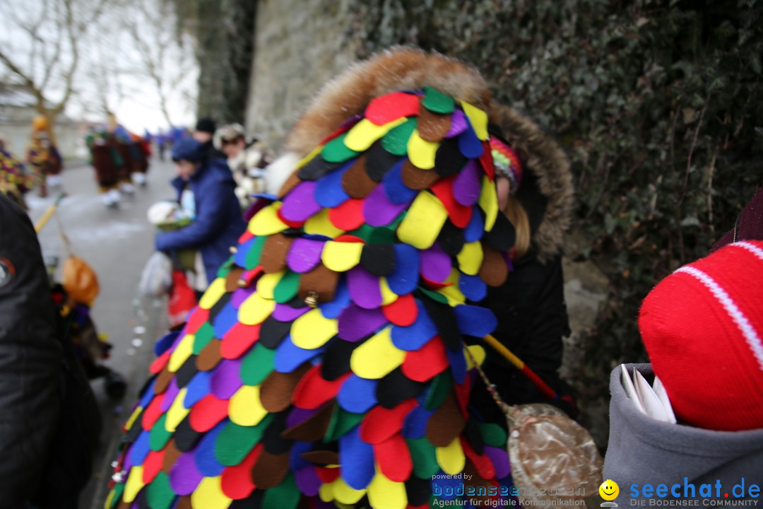 Fasnet Festumzug mit Motivwagen : Stockach am Bodensee, 01.02.2015