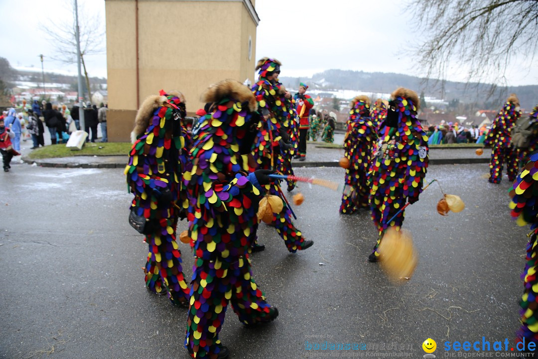 Fasnet Festumzug mit Motivwagen : Stockach am Bodensee, 01.02.2015