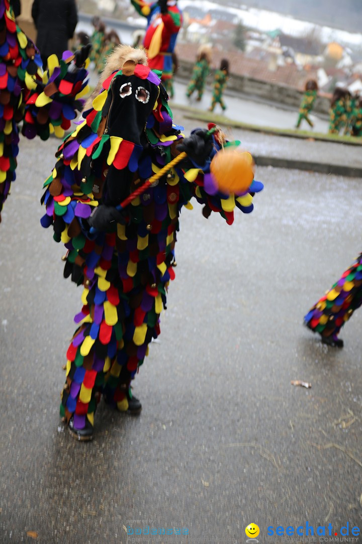 Fasnet Festumzug mit Motivwagen : Stockach am Bodensee, 01.02.2015