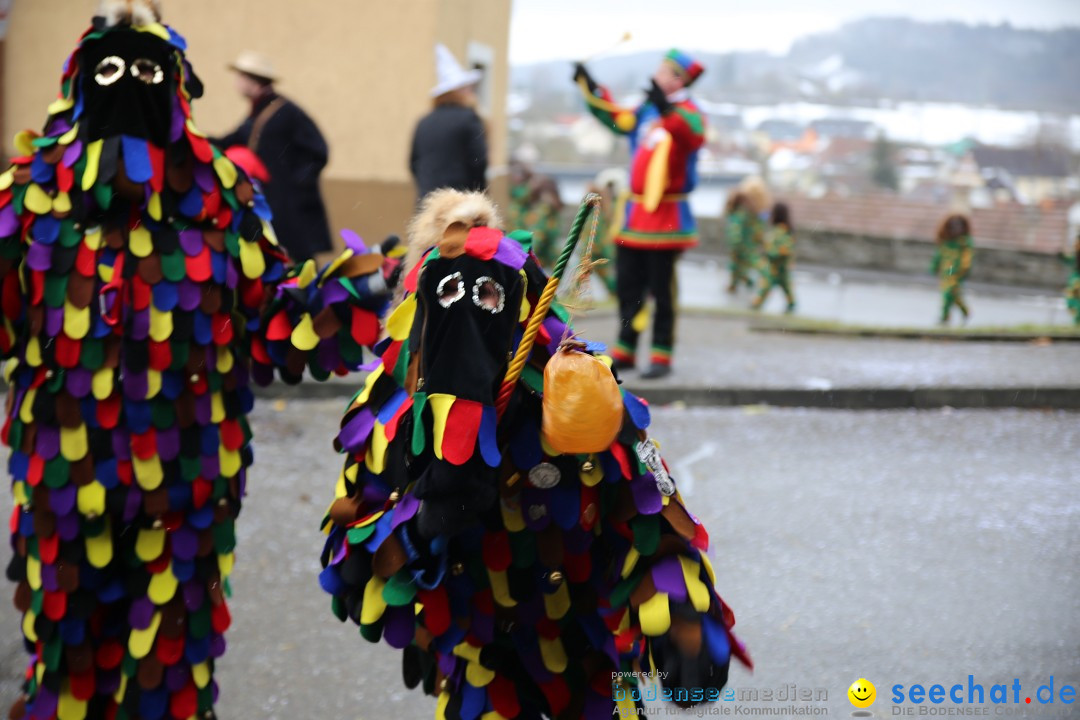 Fasnet Festumzug mit Motivwagen : Stockach am Bodensee, 01.02.2015