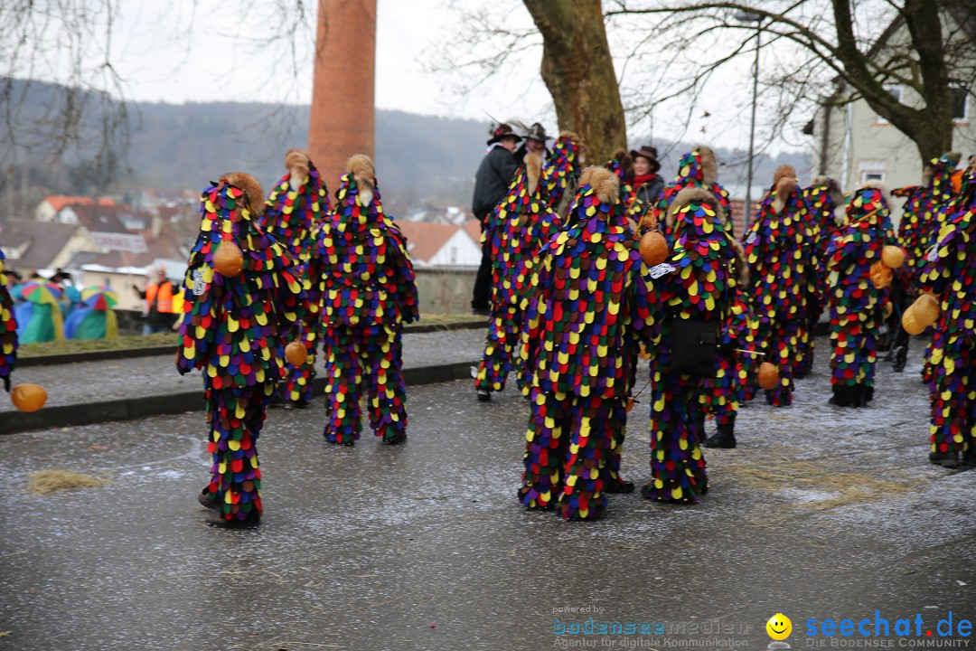 Fasnet Festumzug mit Motivwagen : Stockach am Bodensee, 01.02.2015