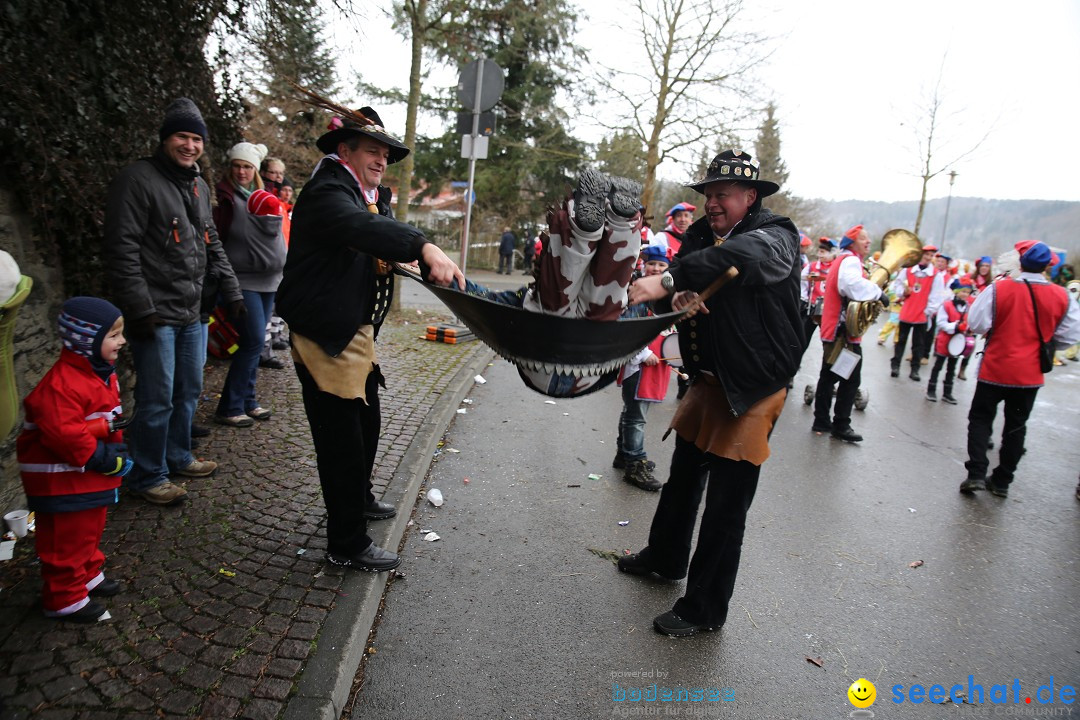 Fasnet Festumzug mit Motivwagen : Stockach am Bodensee, 01.02.2015