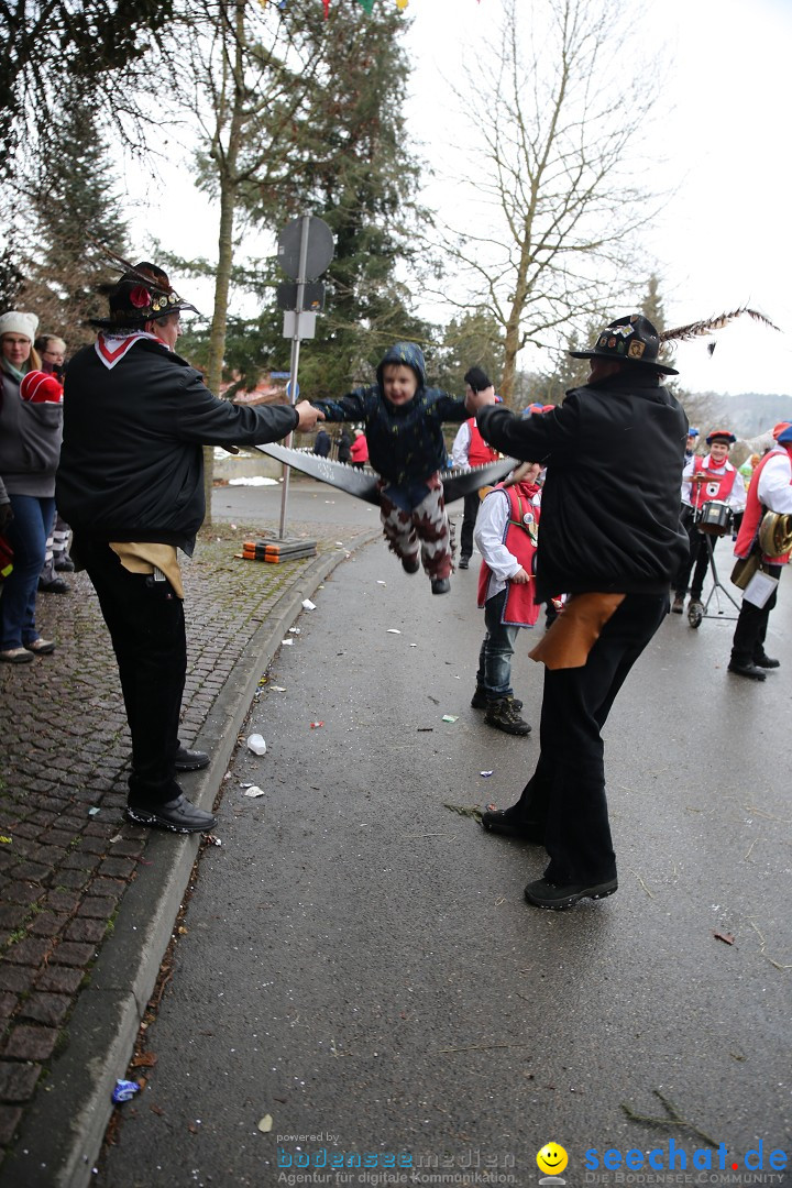 Fasnet Festumzug mit Motivwagen : Stockach am Bodensee, 01.02.2015