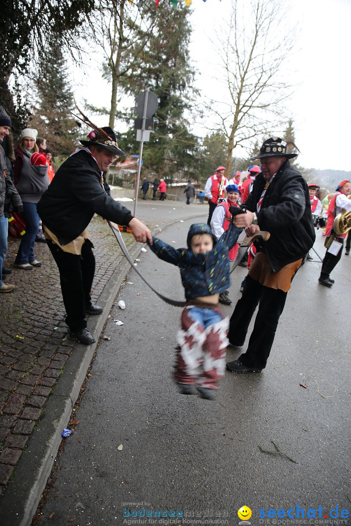 Fasnet Festumzug mit Motivwagen : Stockach am Bodensee, 01.02.2015