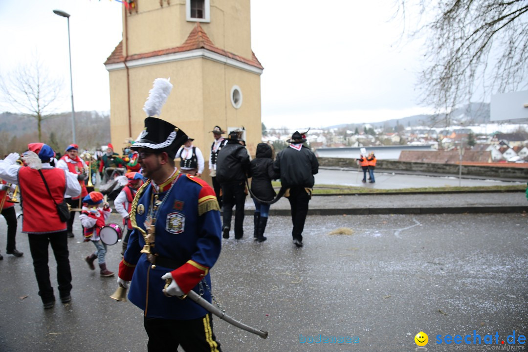 Fasnet Festumzug mit Motivwagen : Stockach am Bodensee, 01.02.2015