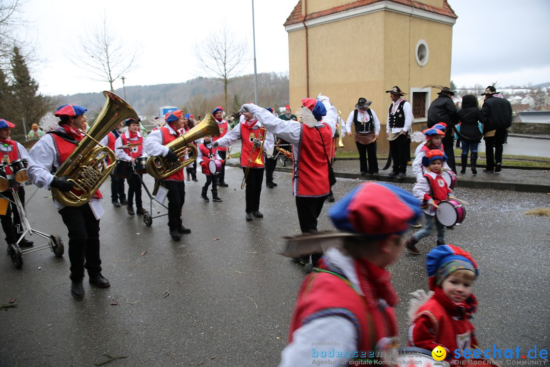 Fasnet Festumzug mit Motivwagen : Stockach am Bodensee, 01.02.2015