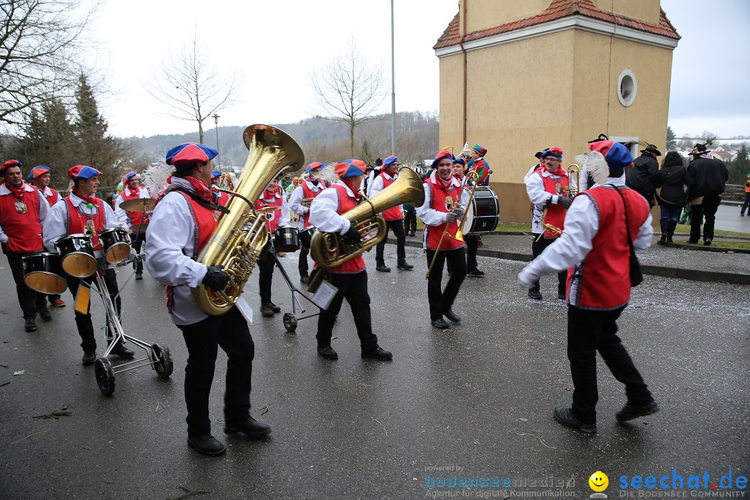 Fasnet Festumzug mit Motivwagen : Stockach am Bodensee, 01.02.2015