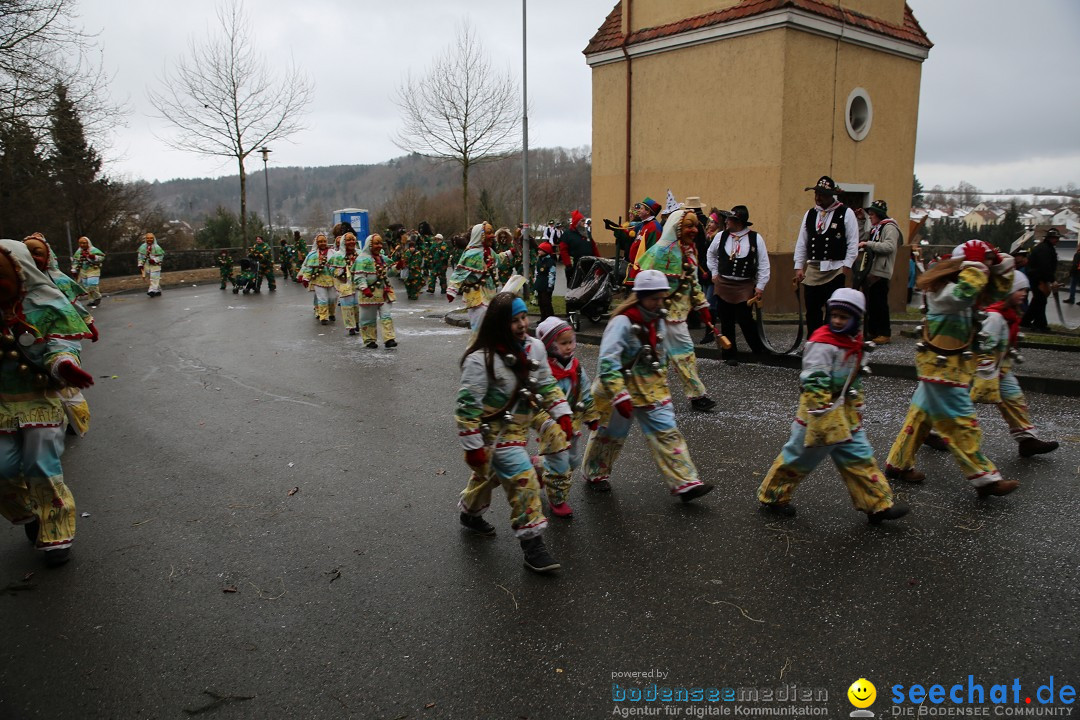 Fasnet Festumzug mit Motivwagen : Stockach am Bodensee, 01.02.2015