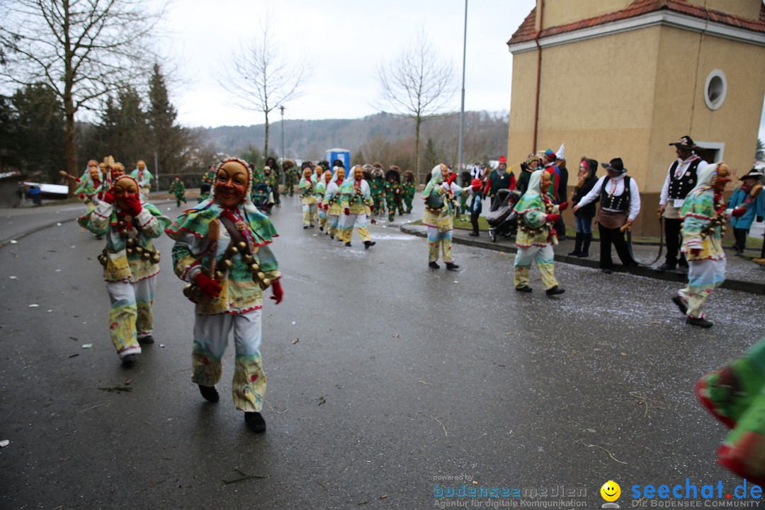 Fasnet Festumzug mit Motivwagen : Stockach am Bodensee, 01.02.2015