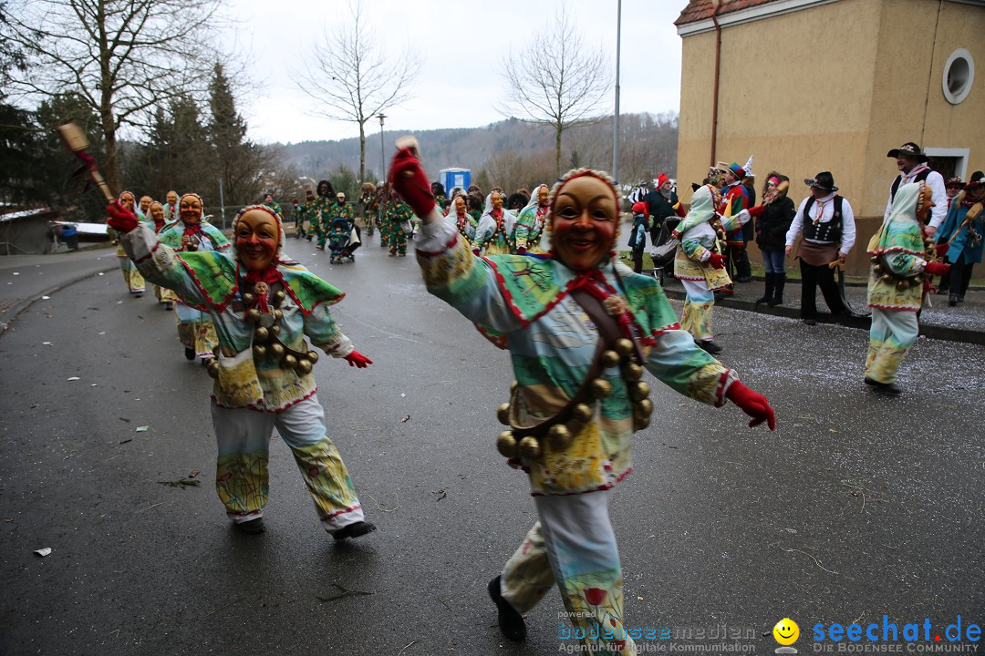 Fasnet Festumzug mit Motivwagen : Stockach am Bodensee, 01.02.2015