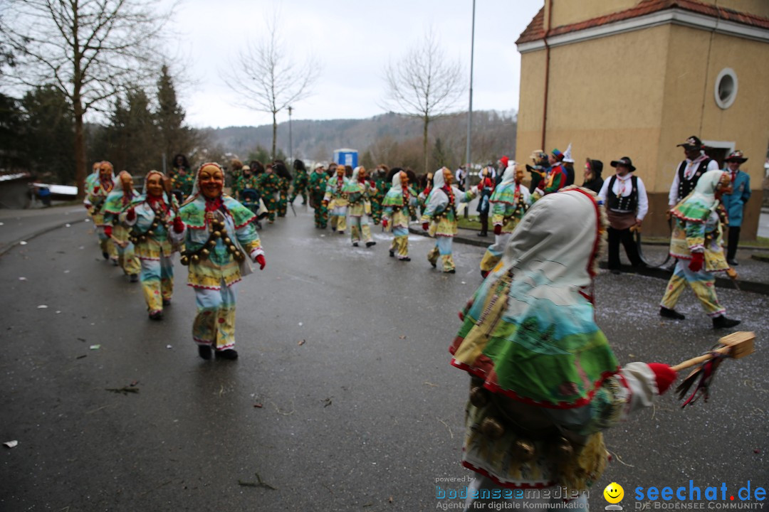 Fasnet Festumzug mit Motivwagen : Stockach am Bodensee, 01.02.2015