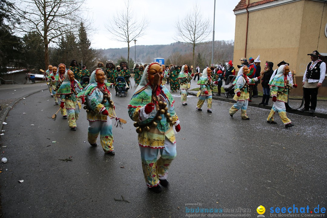 Fasnet Festumzug mit Motivwagen : Stockach am Bodensee, 01.02.2015