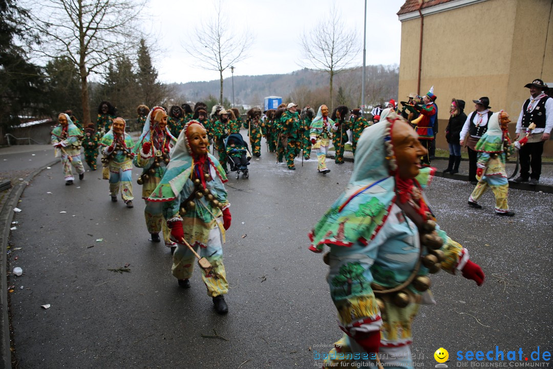 Fasnet Festumzug mit Motivwagen : Stockach am Bodensee, 01.02.2015