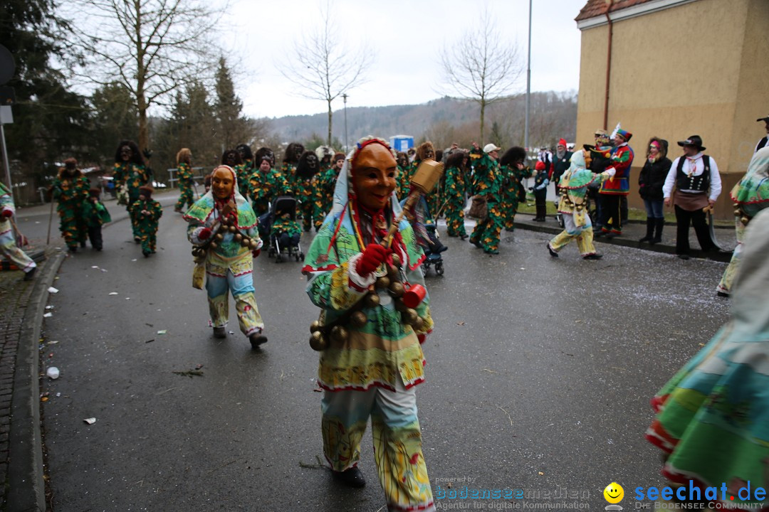 Fasnet Festumzug mit Motivwagen : Stockach am Bodensee, 01.02.2015