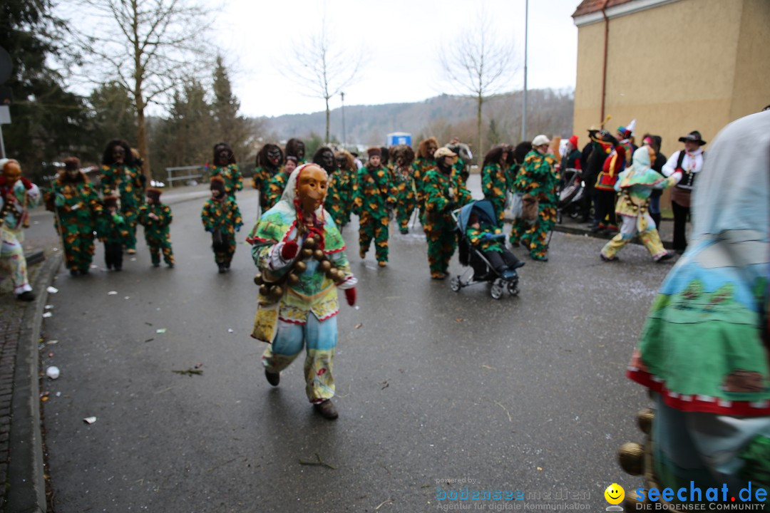 Fasnet Festumzug mit Motivwagen : Stockach am Bodensee, 01.02.2015