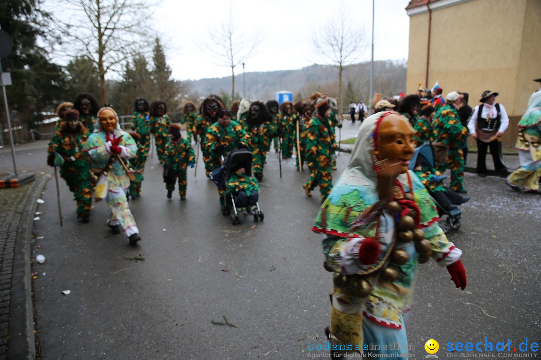 Fasnet Festumzug mit Motivwagen : Stockach am Bodensee, 01.02.2015