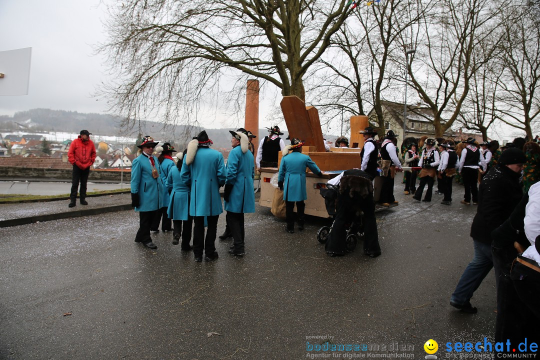 Fasnet Festumzug mit Motivwagen : Stockach am Bodensee, 01.02.2015