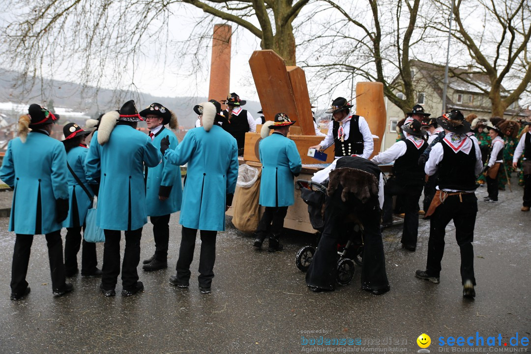 Fasnet Festumzug mit Motivwagen : Stockach am Bodensee, 01.02.2015