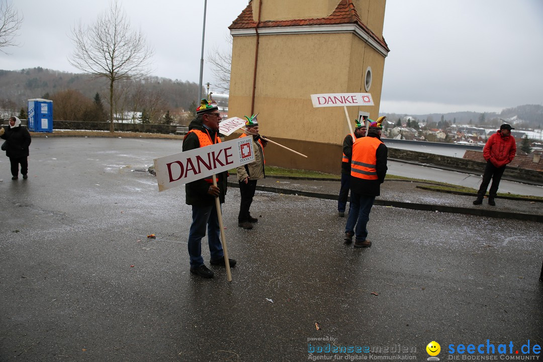 Fasnet Festumzug mit Motivwagen : Stockach am Bodensee, 01.02.2015