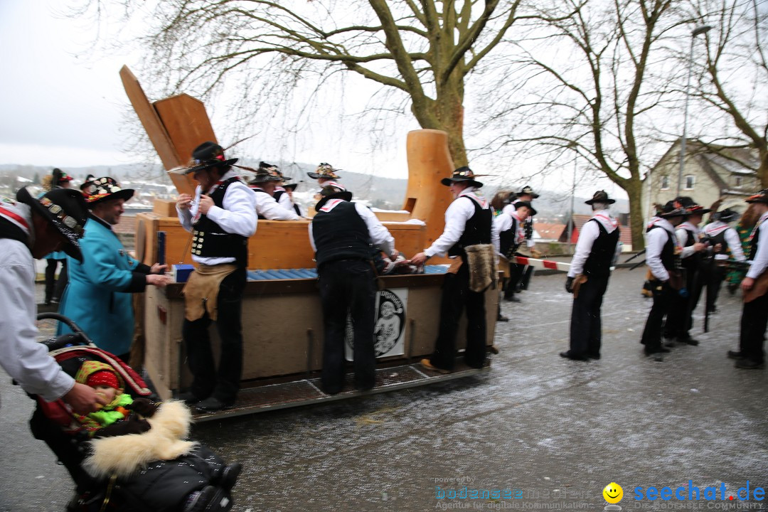 Fasnet Festumzug mit Motivwagen : Stockach am Bodensee, 01.02.2015