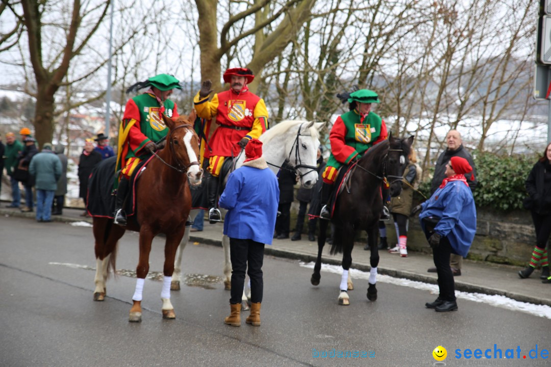 Fasnet Festumzug mit Motivwagen : Stockach am Bodensee, 01.02.2015