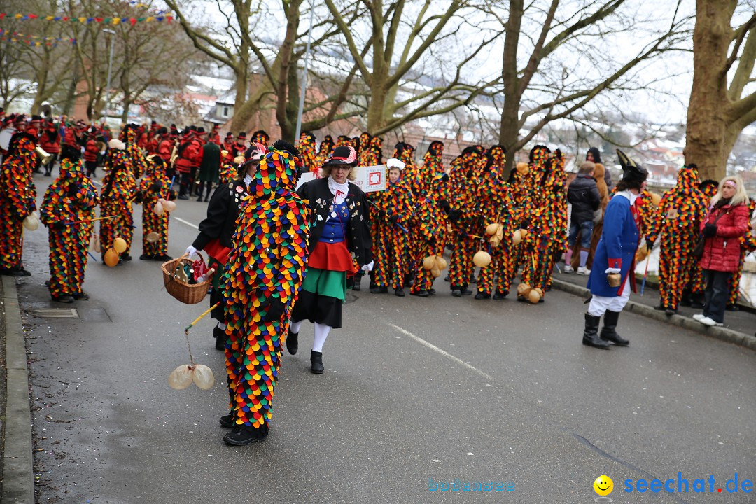 Fasnet Festumzug mit Motivwagen : Stockach am Bodensee, 01.02.2015