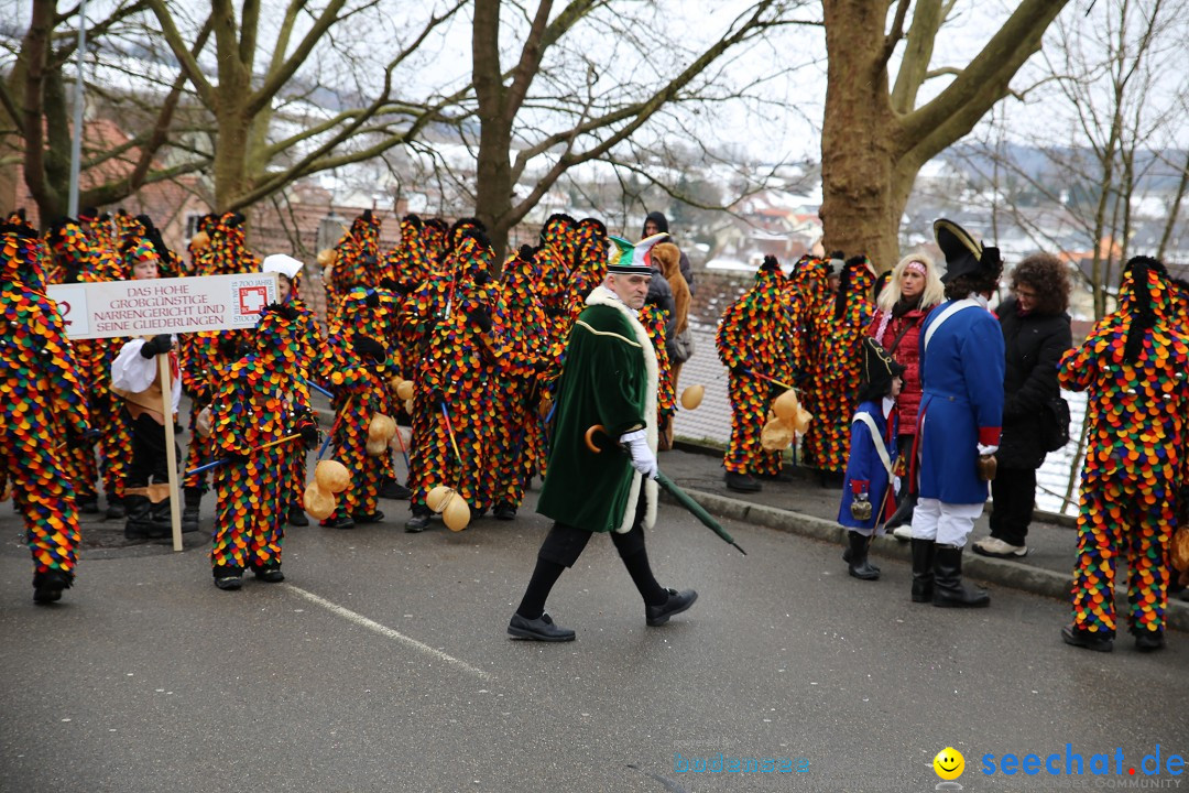 Fasnet Festumzug mit Motivwagen : Stockach am Bodensee, 01.02.2015