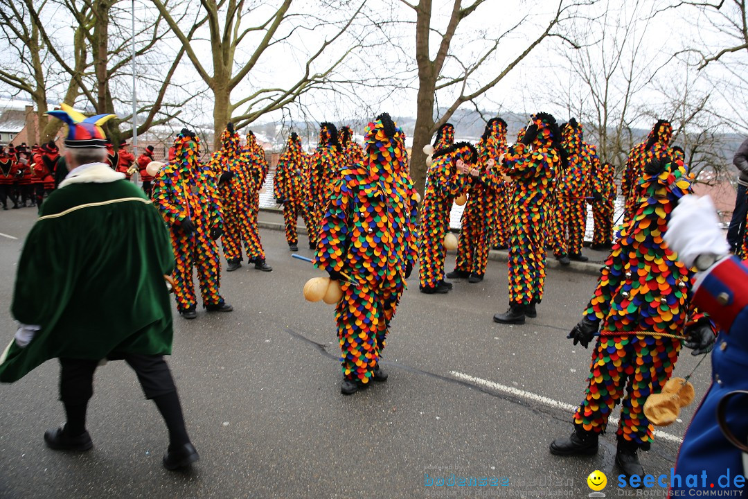 Fasnet Festumzug mit Motivwagen : Stockach am Bodensee, 01.02.2015