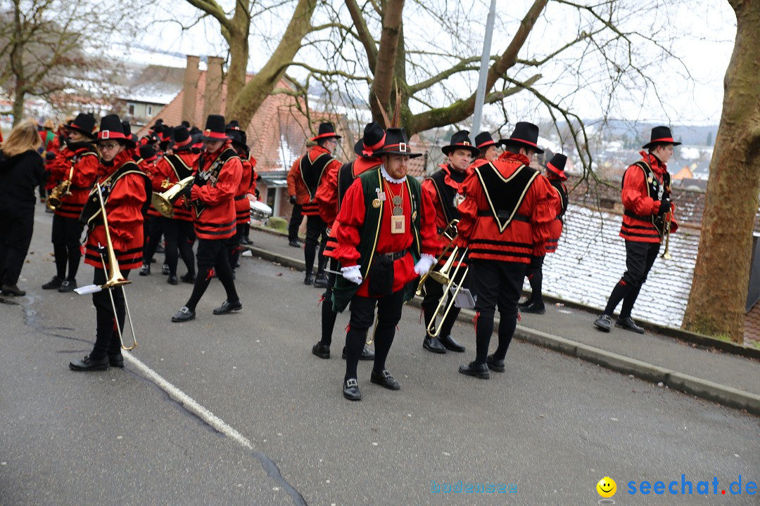 Fasnet Festumzug mit Motivwagen : Stockach am Bodensee, 01.02.2015