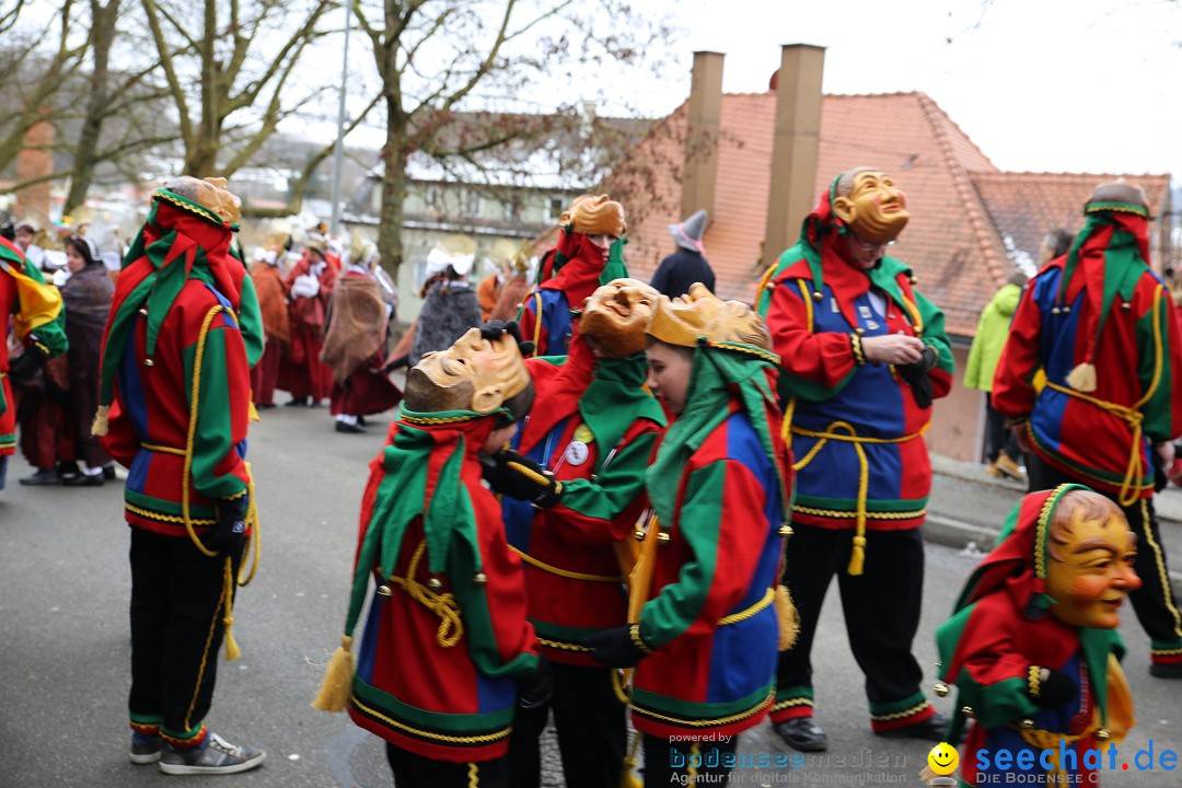 Fasnet Festumzug mit Motivwagen : Stockach am Bodensee, 01.02.2015