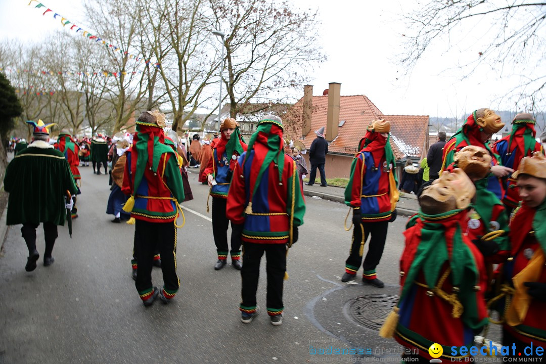 Fasnet Festumzug mit Motivwagen : Stockach am Bodensee, 01.02.2015