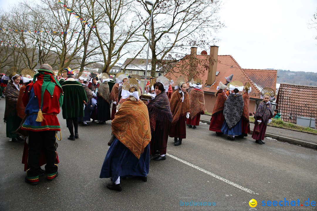 Fasnet Festumzug mit Motivwagen : Stockach am Bodensee, 01.02.2015