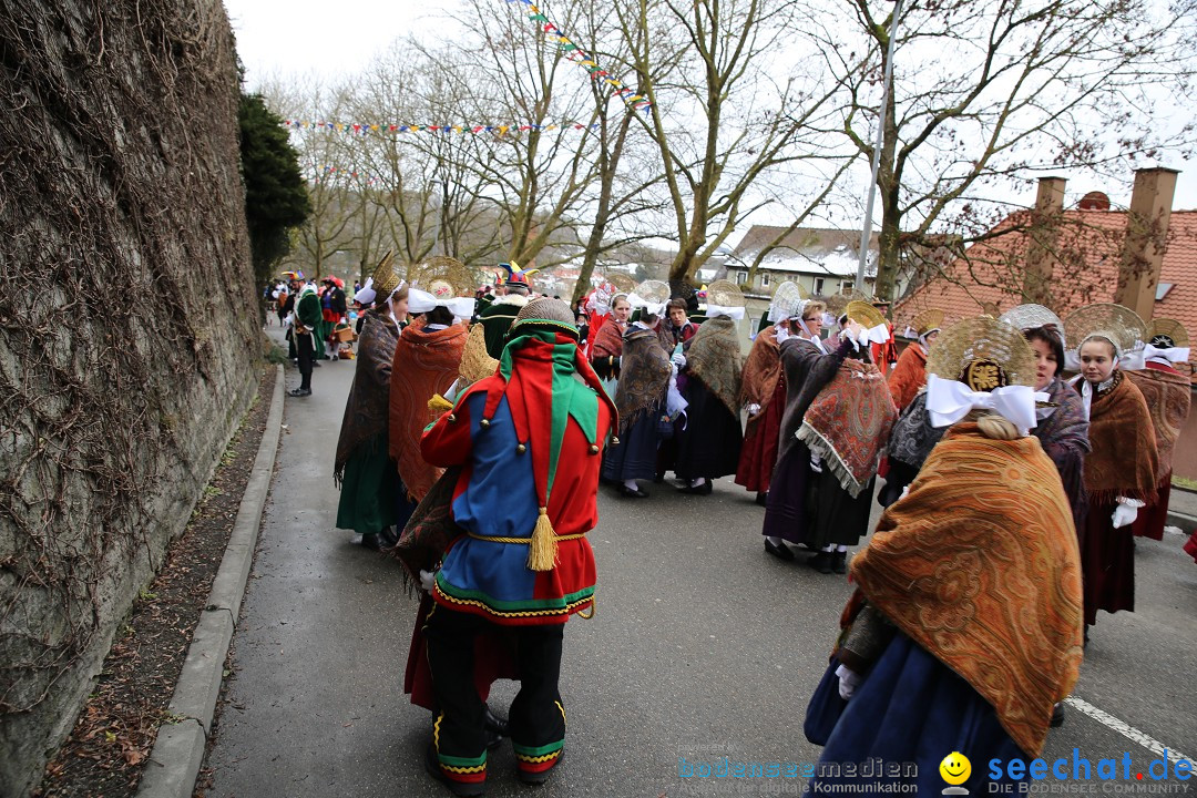 Fasnet Festumzug mit Motivwagen : Stockach am Bodensee, 01.02.2015